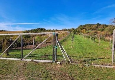 Na predaj pozemok, Pezinok, Fajgalská