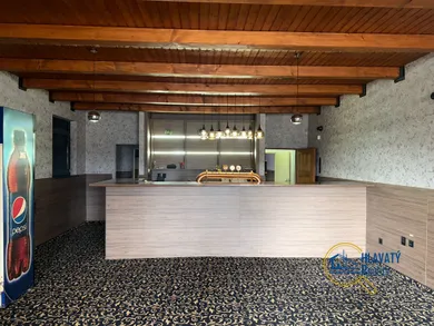 Na prenájom komerčné, 100 m², Šaľa, Staničná