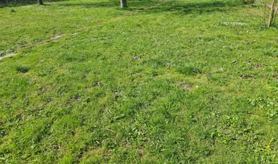 Pozemky na predaj, Stupava · €250 000