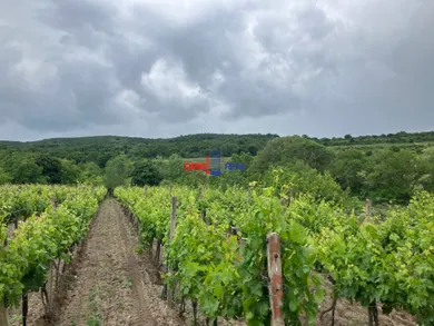Działki na sprzedaż, Bratislava-Rača · €210 000