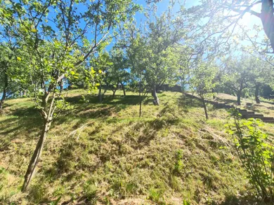 Na predaj 1-izbový rekreačný dom, 483 m², Nemšová, Ľuborča