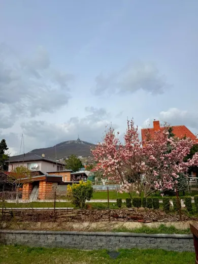 Domy na sprzedaż, 6-pokojowe, Nitra · €349 000