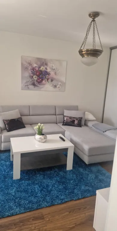 Mieszkania na wynajem, 1-pokojowe, Brezno · €420