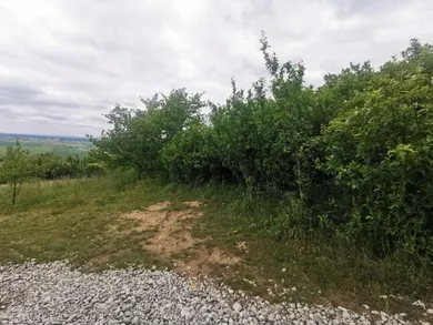 Na predaj pozemok, 443 m², Skalica