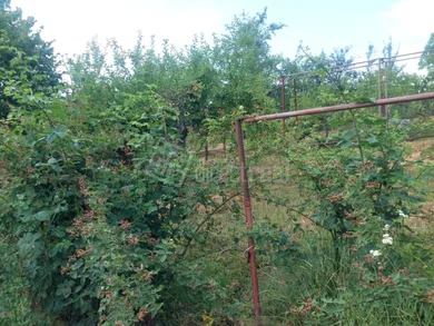 Na predaj pozemok, 523 m², Lučenec, Vinica