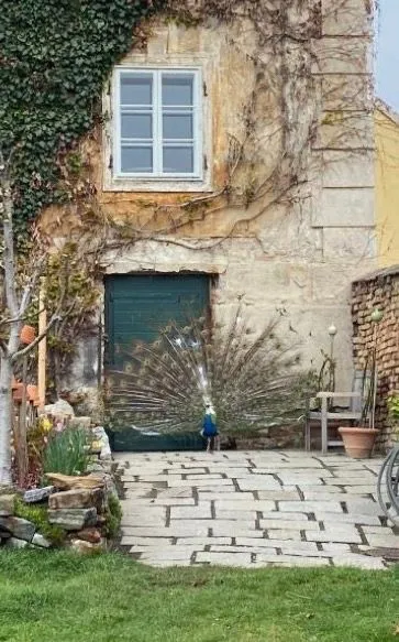 Na prenájom 3-izbový byt, 80 m²
