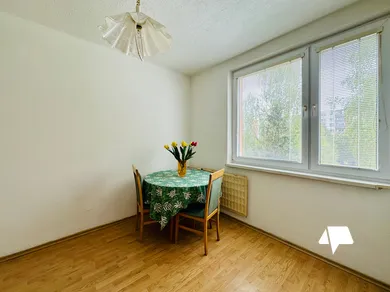 Na prenájom 1-izbový byt, 38 m², Nitra