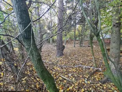 Na predaj dom, 118 m², Bratislava-Záhorská Bystrica, Pútnická
