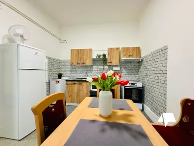 Na prenájom 1-izbový byt, 50 m², Nitra, Štefánikova trieda