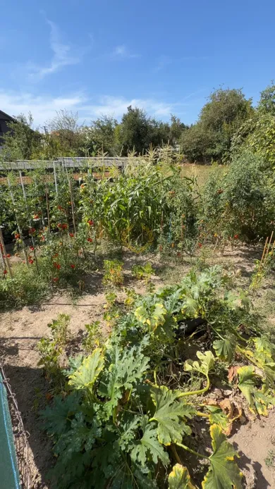 Na predaj pozemok, 80 m², Kováčová, Slobody