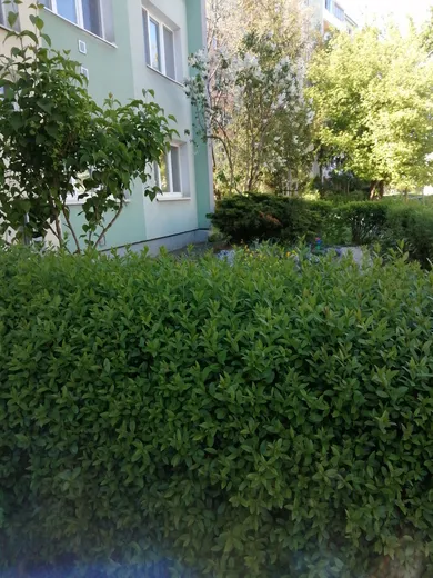 Byty na predaj 2-izbový, Košice-Sever · €202 998