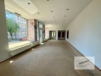 Na predaj komerčné, 176 m², Nové Zámky, Turecká